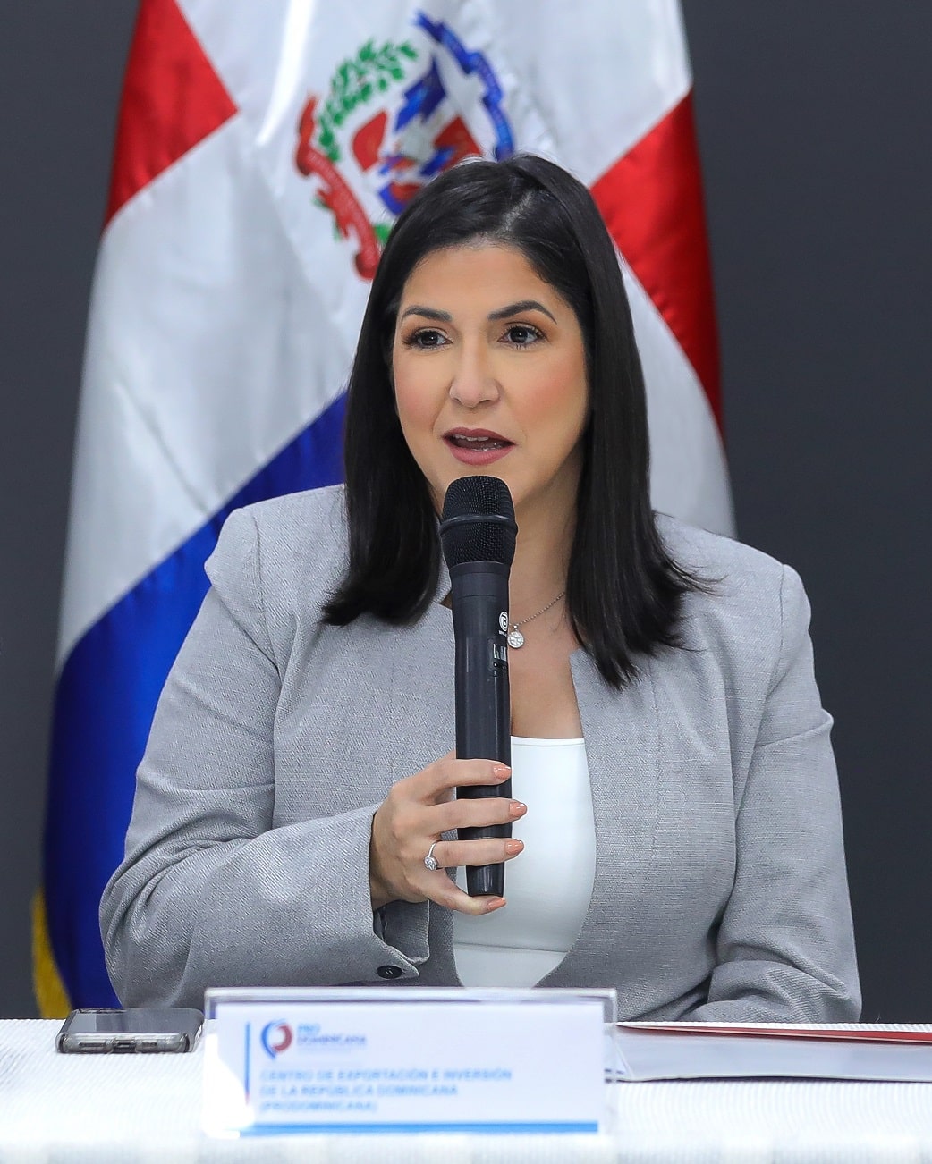 Biviana Riveiro Disla directora ejecutiva de ProDominicana